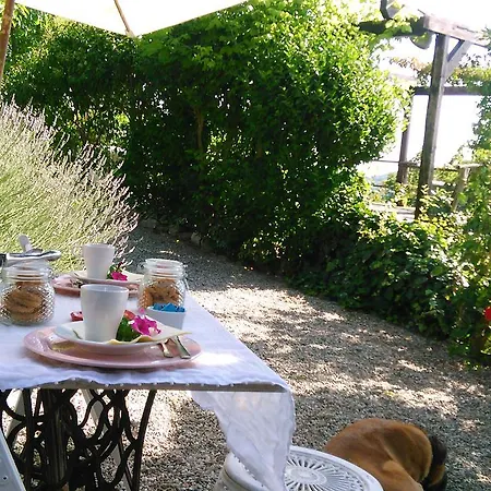 Casa Della Musica Couette-café *